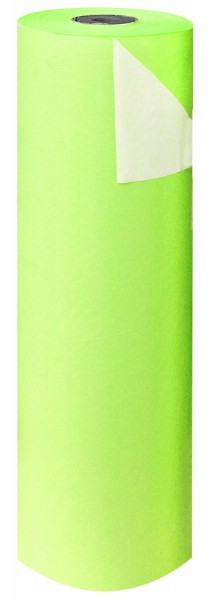 Blumenpapier Rolle 60cm 50g weisskraft hellgrün (12kg)
