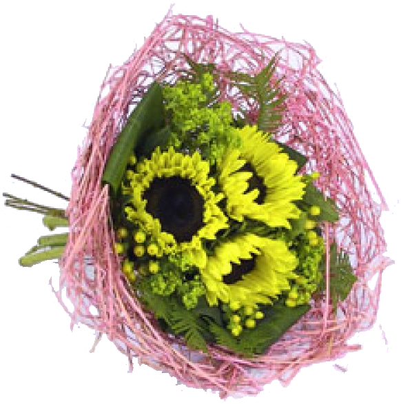 Bouquethalter Woody 25cm rosa 100 Stück