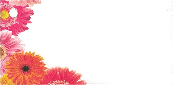 Blumenkarten Gerbera (100 Stück)