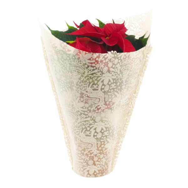 Tüten 27,5x31x14cm Made for X-Mas natur