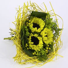 Bouquethalter Woody 25cm gelb 10 Stück