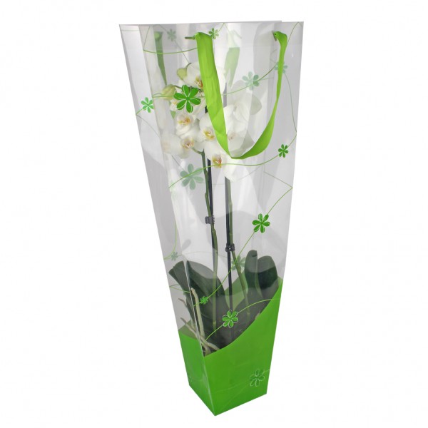 Tasche Orchideen Flow 12x11x70 grün (20 Stück)