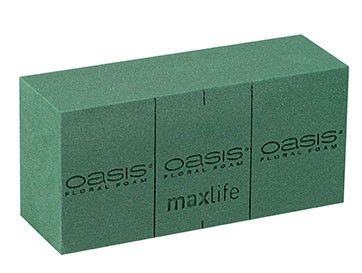 Oasis Ideal 20 Stück