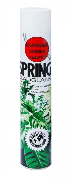 Spring Blattglanz 250ml