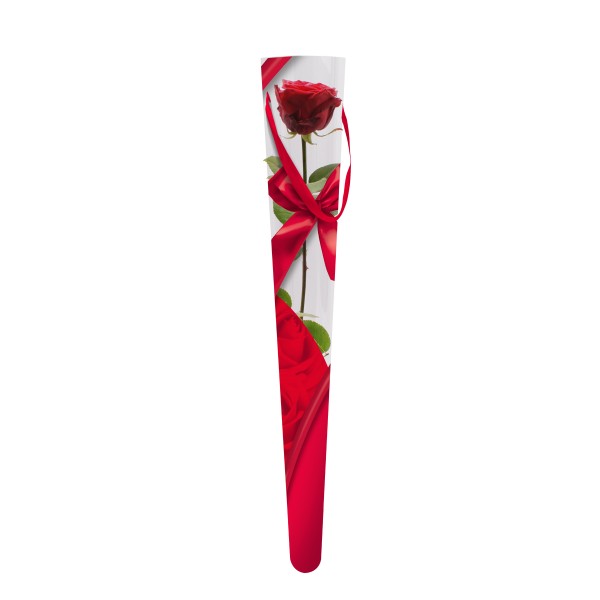 Rosentrichter Ribbon u Roses 6x2x52,5cm rot
