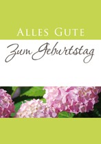 Grußkarten Alles Gute zum Geburtstag (12 Stück)