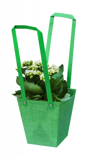 Tasche "Fabrice" PP grün (20 Stück)
